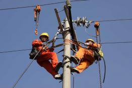 加快推進農村線路絕緣化改造