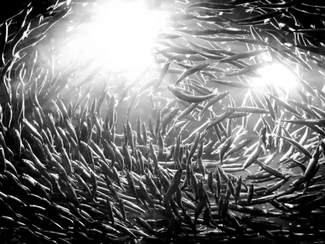 售電公司怎么用流量思維賺錢！