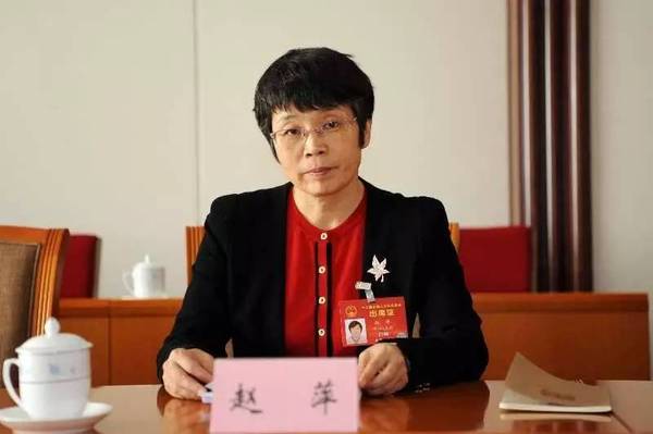 東方風(fēng)電趙萍：海上風(fēng)機(jī)大型化是趨勢，中國已落后一步