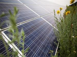 歐洲復興開發(fā)銀行為太陽能發(fā)電廠提供貸款