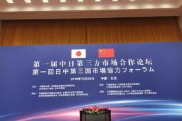 安倍晉三訪華 協(xié)鑫、天合和晶科為光伏行業(yè)長臉了！