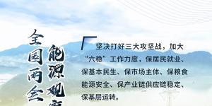 讀圖｜2020政府工作報(bào)告中這些內(nèi)容，和能源電力有關(guān)！