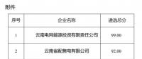 2025年云南電力市場(chǎng)保底售電公司候選名單公示！